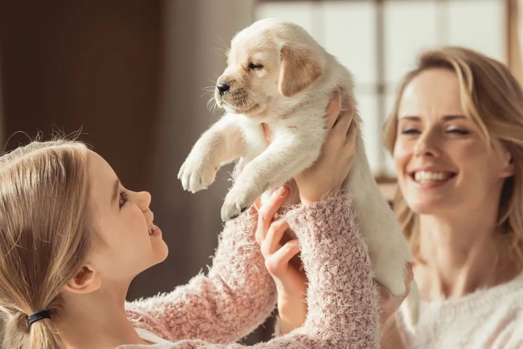 Dog Training in Georgia