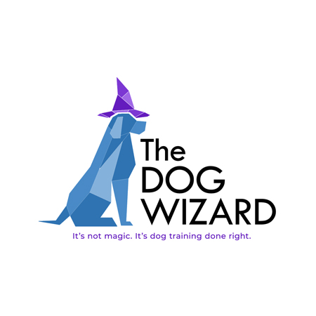 Chantilly Dog Puppy Obedience Training The Dog Wizard The Dog